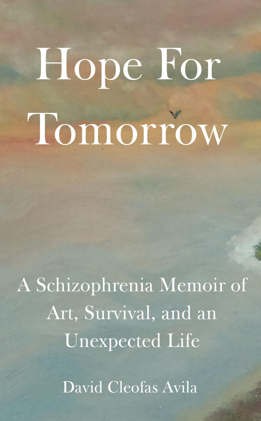 A Schizophrenia Memoir of Art, Survival, and an Unexpected Life